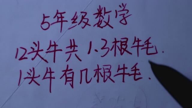 5年级数学:12头牛共1.3根牛毛,1头牛有几根牛毛