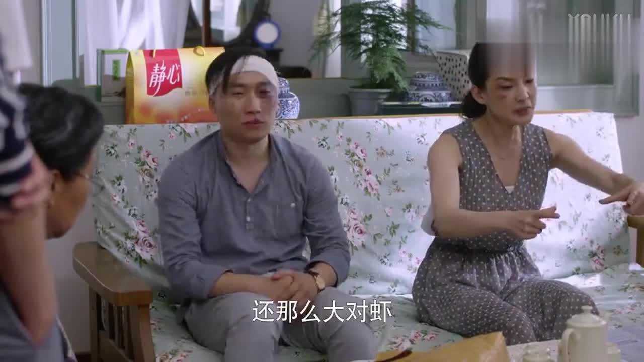 大雅毛驴争执打架大雅不幸擦伤毛驴却被大雅打的缠绷带