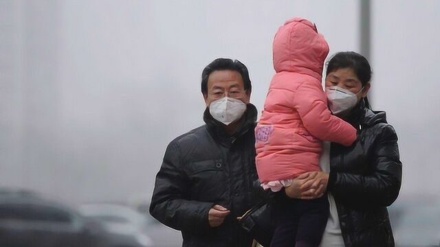 新型冠状病毒疑来自野味,广东已开启市场检查:禁卖非法野生动物