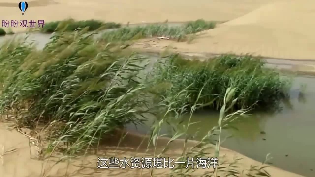 不可思议!沙漠地下发现“海洋”新疆塔里木盆地出现奇迹