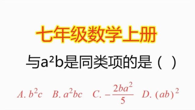 七年级数学上册:下列选项中与aⲢ是同类项的是?