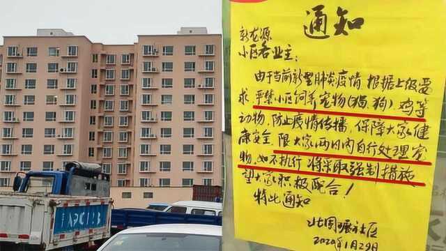 太原一社区要求2天内处理掉宠物,街道办喊停:内容有歧义