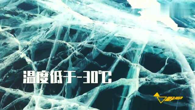 看完《囧妈》被种草,一年冰封个月的西伯利亚蓝眼睛