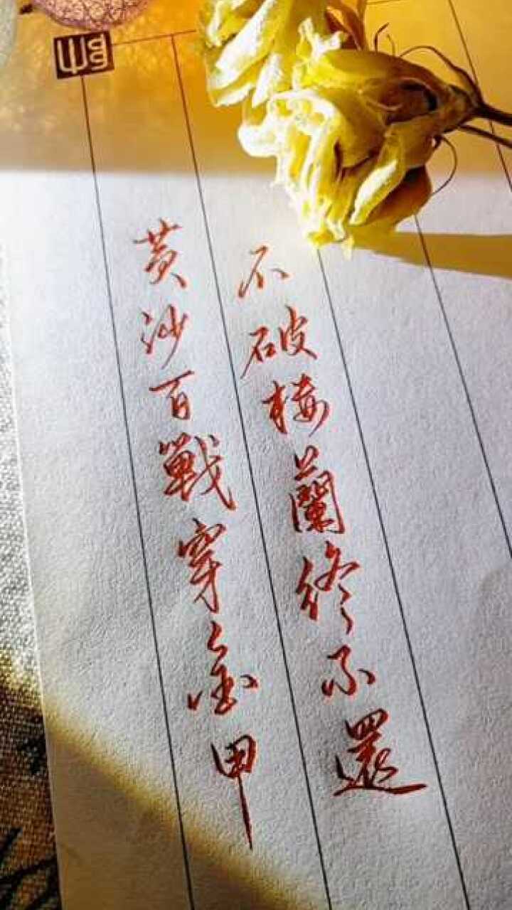 黄沙百战穿金甲不破楼兰终不还