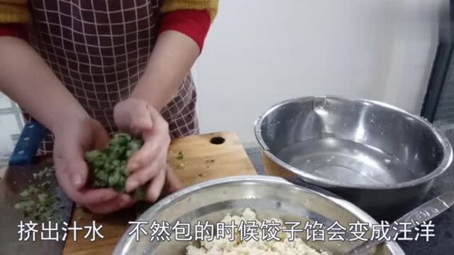 豆腐也能变成饺子馅!加上这些包成饺子,入口清香别有一番风味