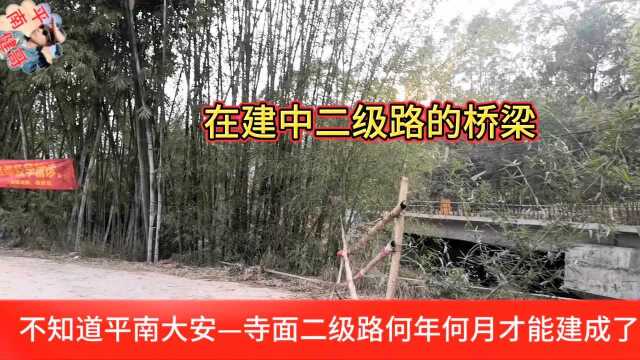 广西平南大安—寺面在建二级路实拍,疫情期间停工,何时才能通车