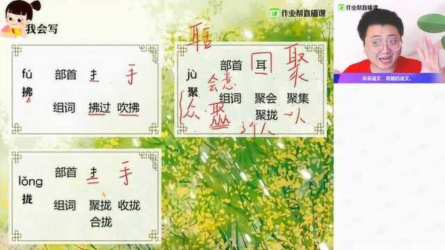 【语】动物类文章赏读(一)小学三年级采桥