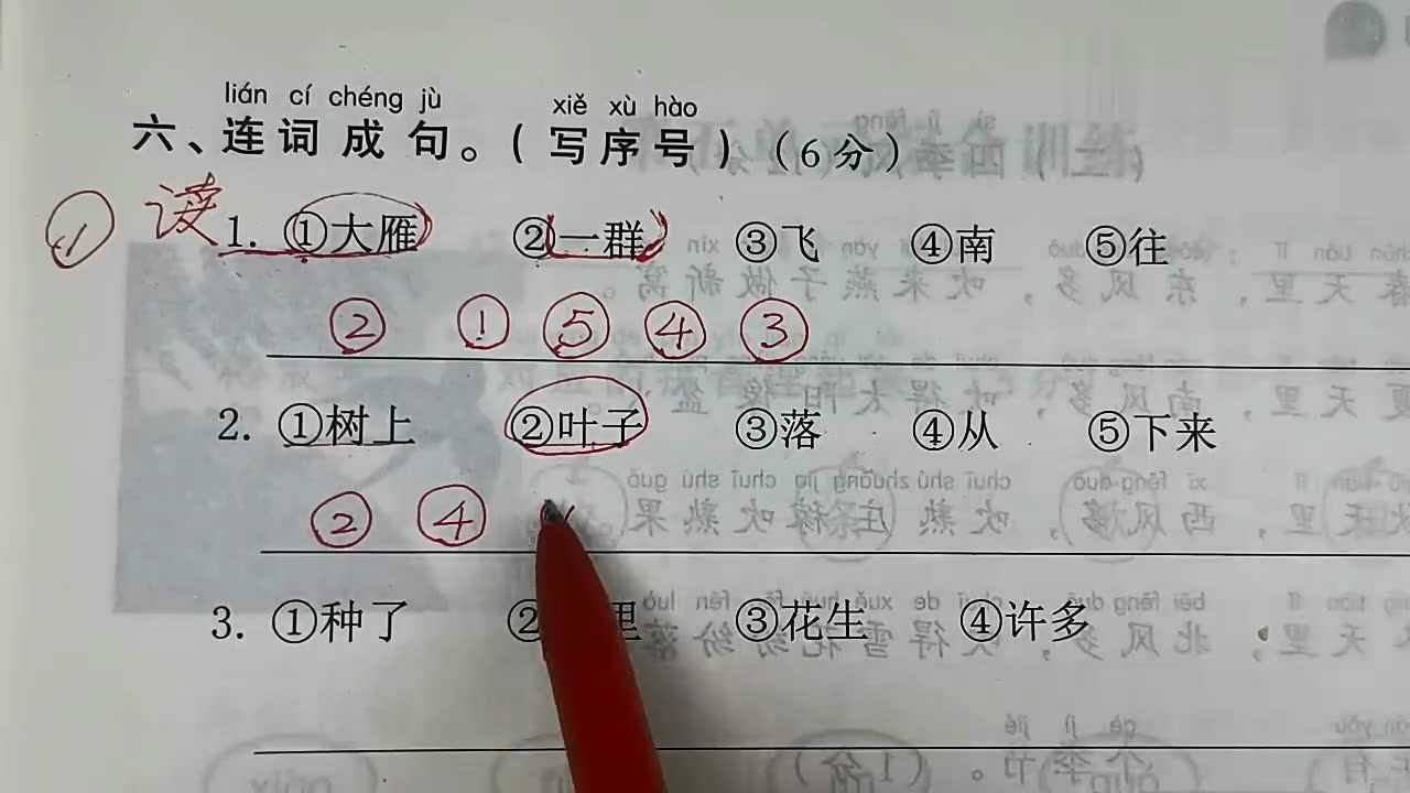 词语排列顺序