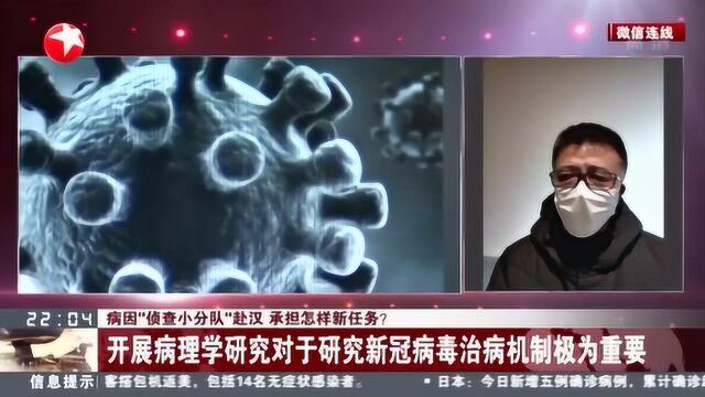 病因“侦查小分队”赴汉开展病理学研究 对研究新冠病毒治病机制极为重要