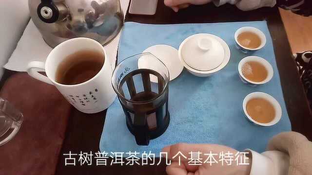 古树普洱茶的几个基本特征