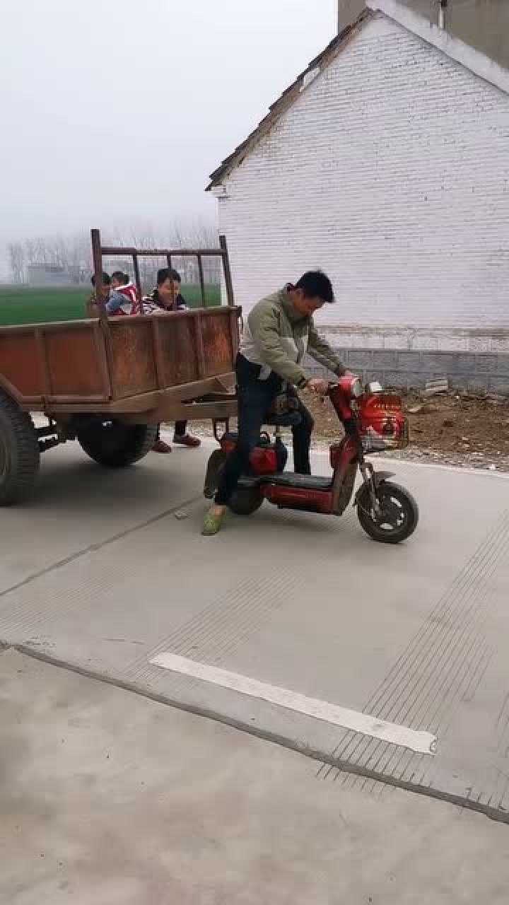 小马拉大车3d亲子图片