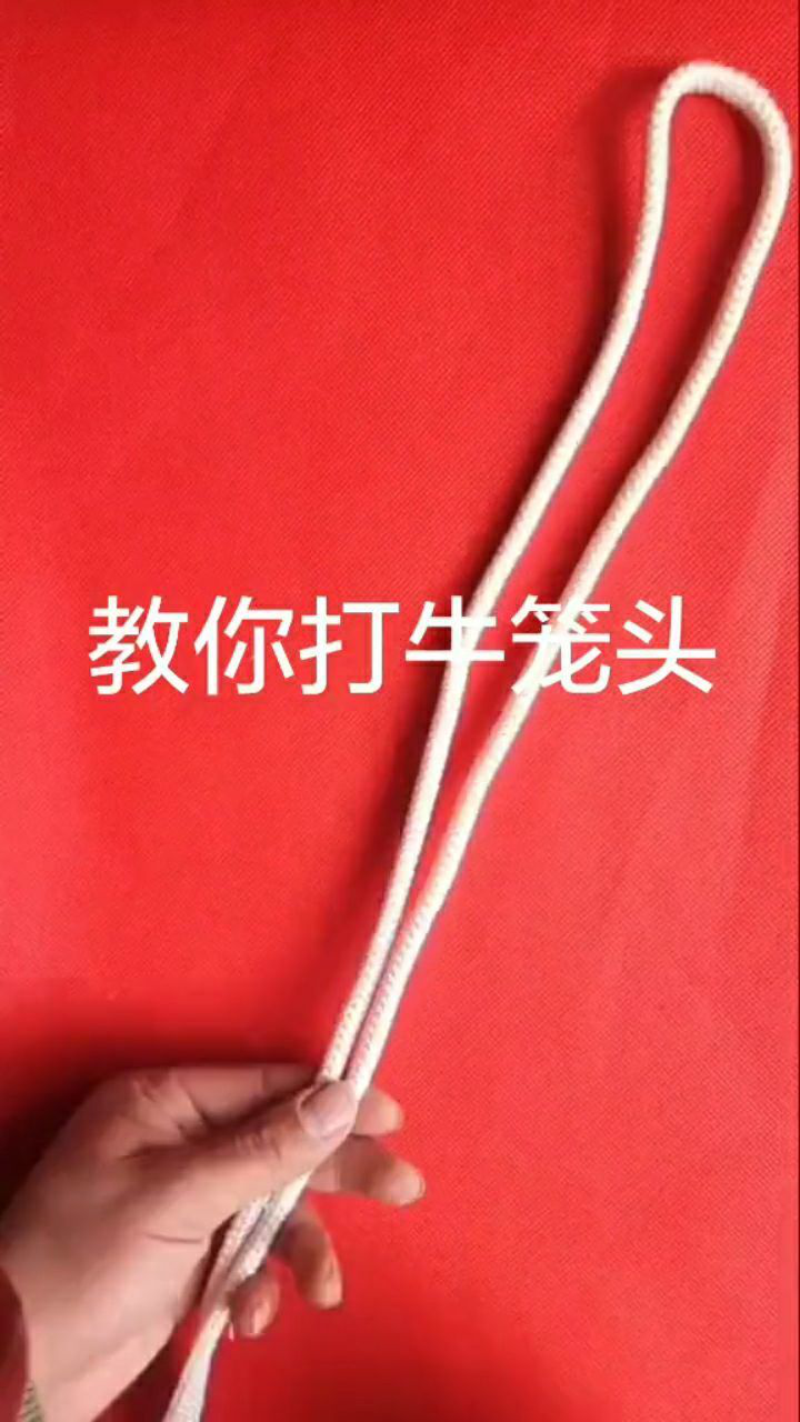 教你如何打牛笼头_腾讯视频