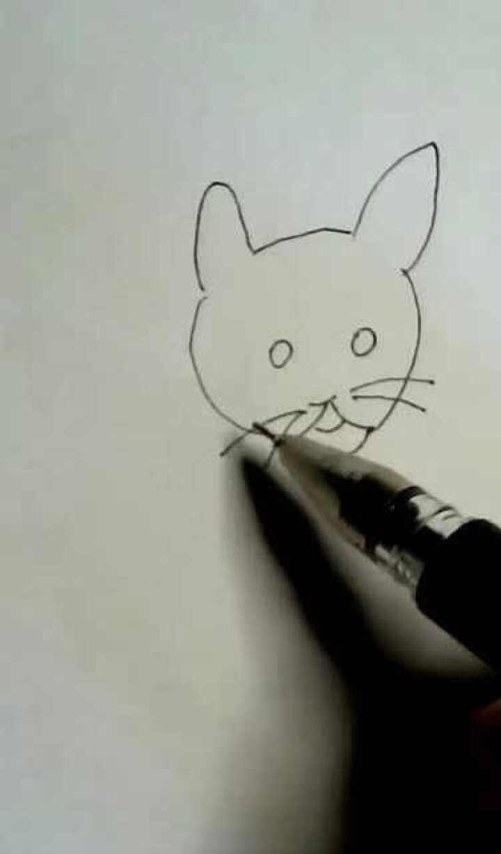 一笔一划教你简笔画儿童简笔猫简单好学你也试试