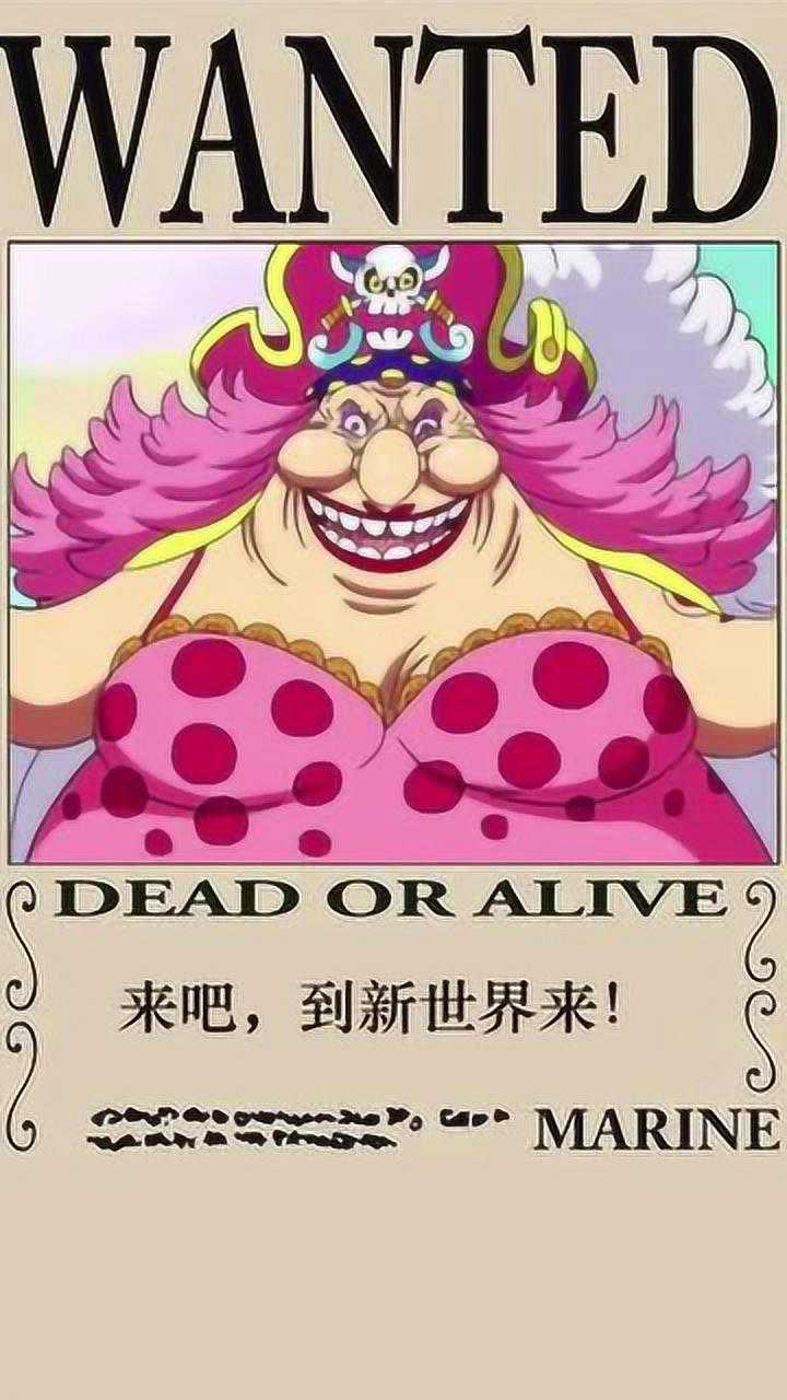 漫剪:海贼王  大妈玲玲   海贼王  大妈玲玲  大妈