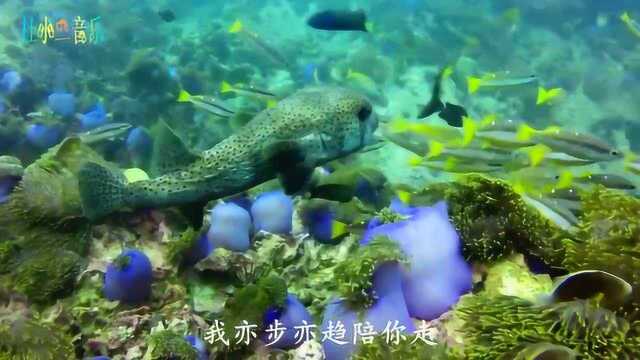 精选歌曲《爱的突破+爱我+爱到分离仍是爱》经典老歌连播