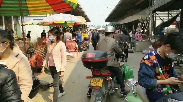 广西最近鸡肉价格超级便宜,大家纷纷抢购!再不买就涨价了!