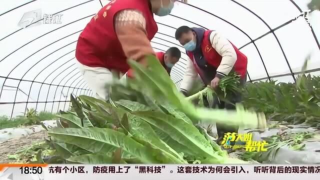 北仑小港街道 社区书记直播卖菜 解农户销售难题