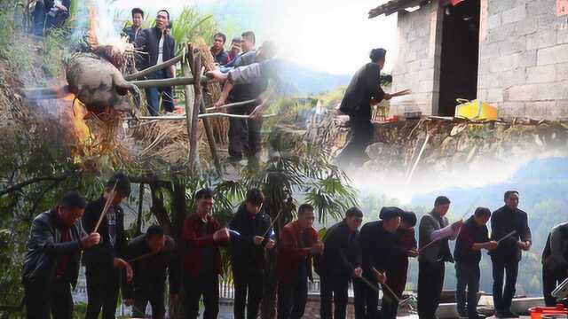 实拍布依族村民祭拜树神,祈求村寨平安风调雨顺