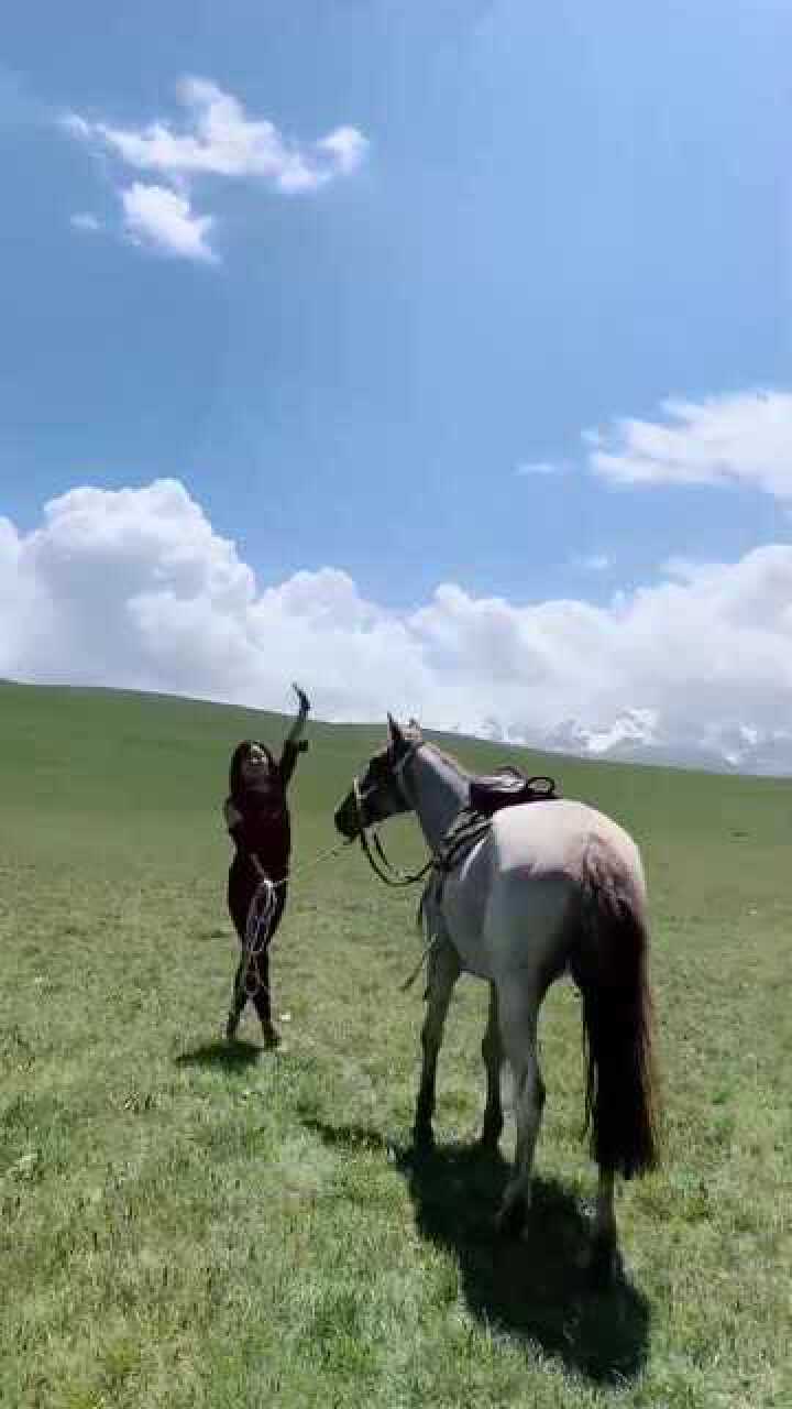 美女牽馬的姿勢太霸氣了怪不得馬那麼聽話動物都知道她好看