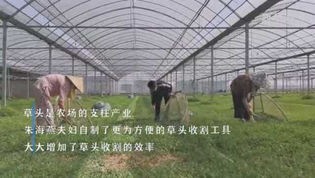 自制新型农具 助力农业增收