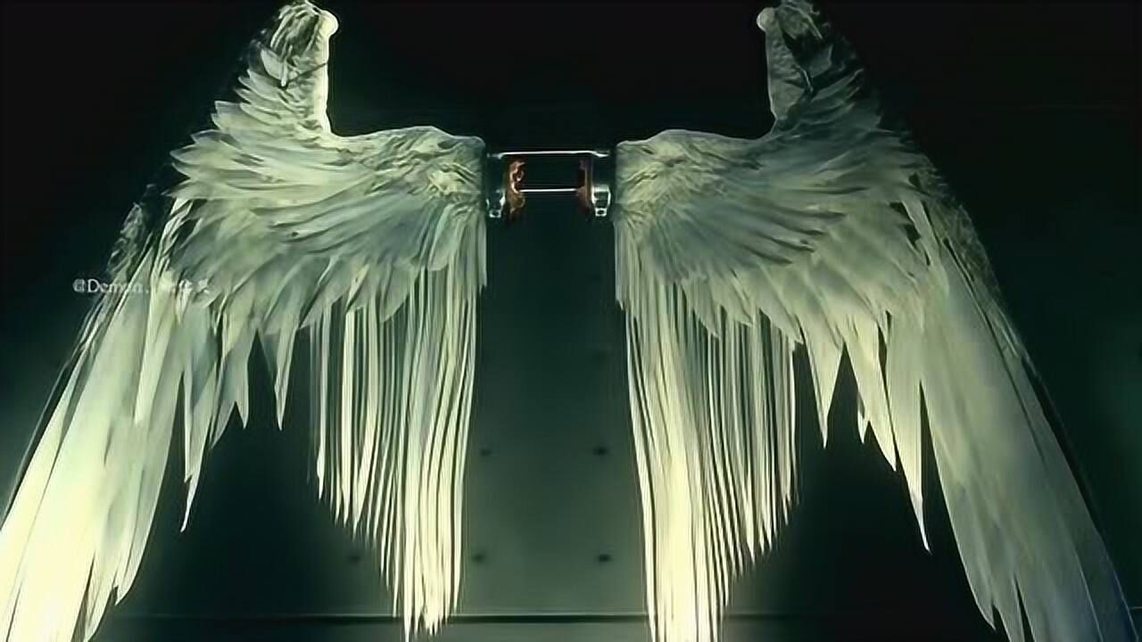 路西法我天使的翅膀被割掉了所以我成了恶魔