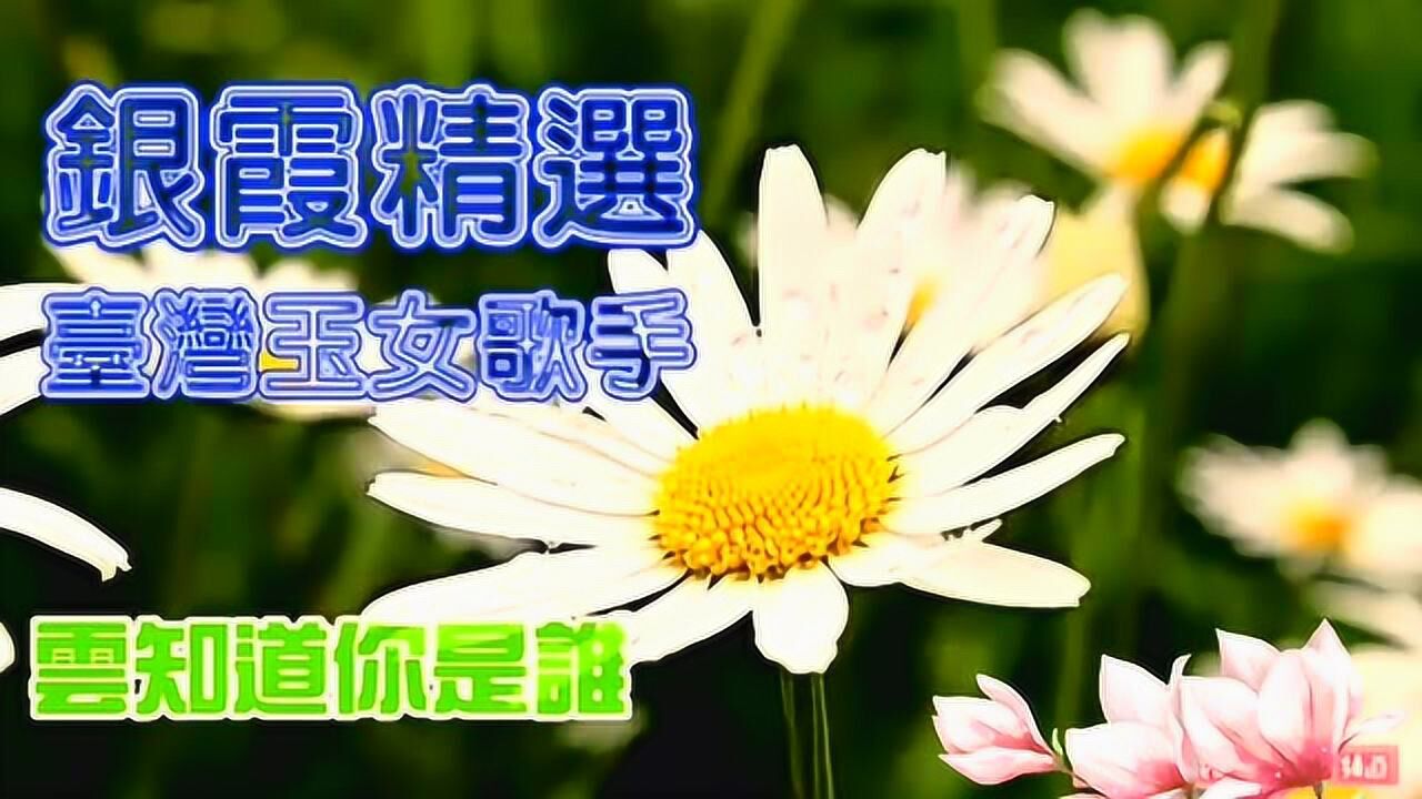 校园民歌《兰花草》银霞专辑精选