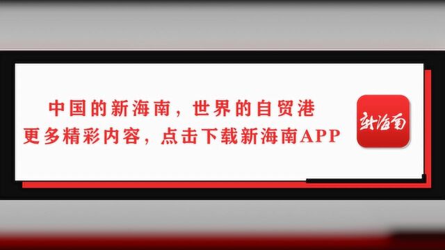 2020年高考网上咨询周时间安排出来了