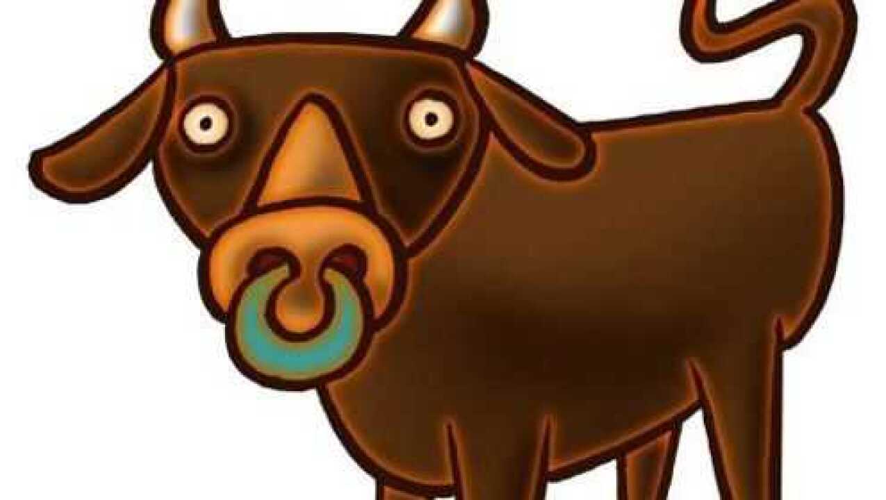 买牛防骗第一集:买西门塔尔牛要怎么防上当被骗呢?