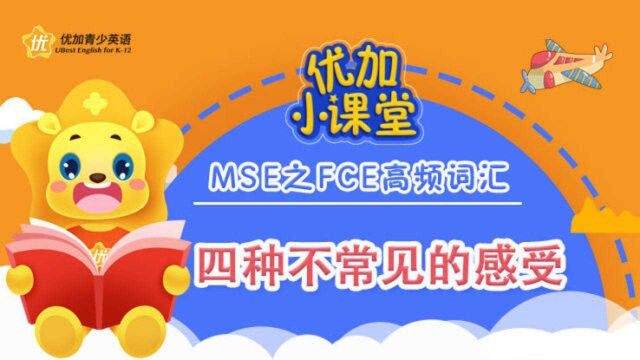 MSE之PET高频词汇:四种不常见的感受