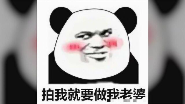 表情包:熊猫头关于拍一拍的表情包