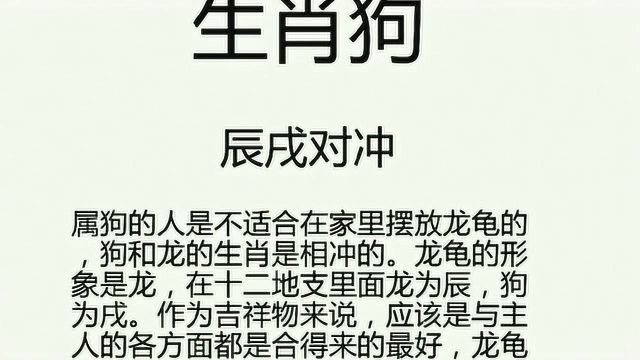 什么生肖不适合家里摆放龙龟?看看这个就知道了,恕我直言挺有趣的