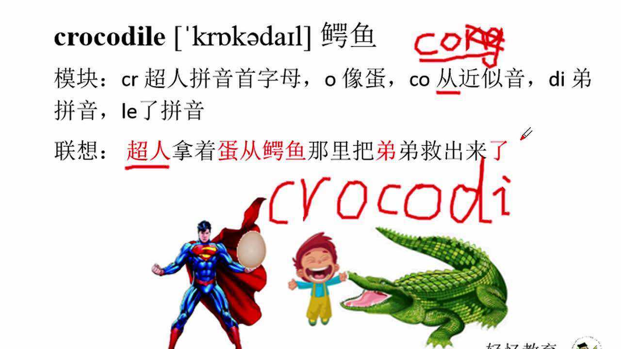 少儿英语动物单词大全,如何记忆chicken 鸡