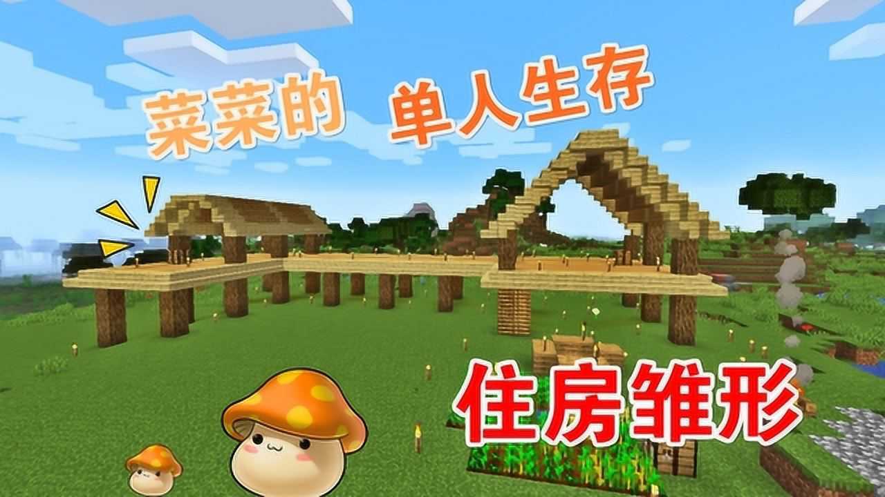 我的世界生存日记第二季09:菜菜的单人生存房屋建筑雏形做好啦!