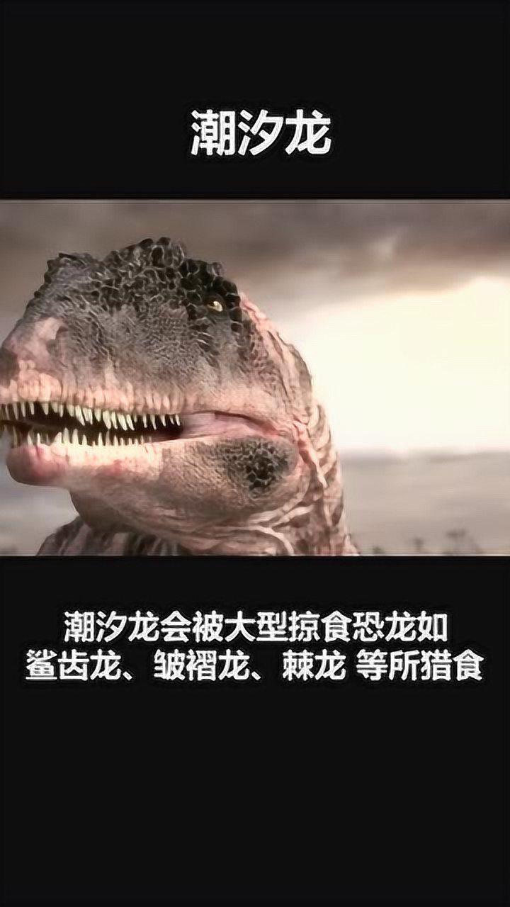 潮汐龙大型泰坦巨龙类恐龙体长2630米体重6080吨