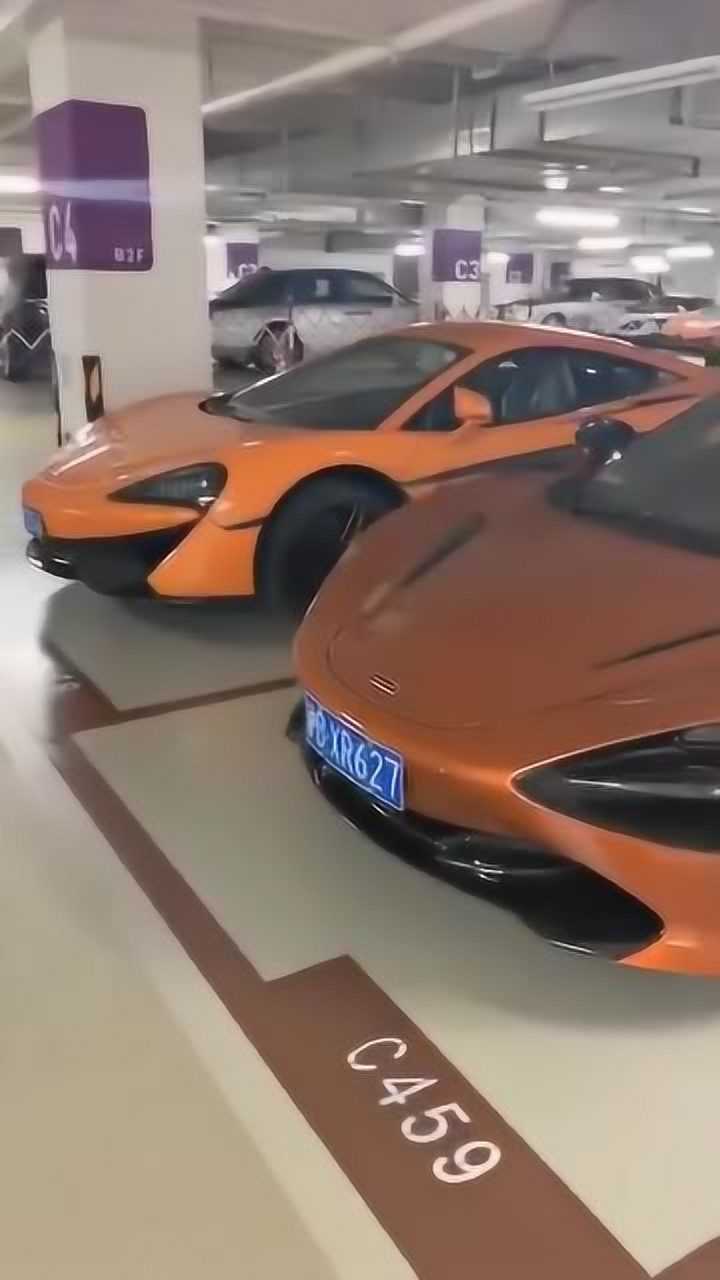 汤臣一品的地下车库,全是豪车,果然都是有钱人