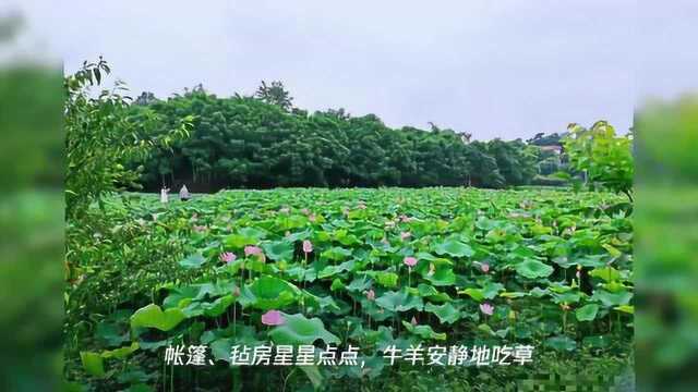 端午节去哪儿玩?3种不同玩法任你选!