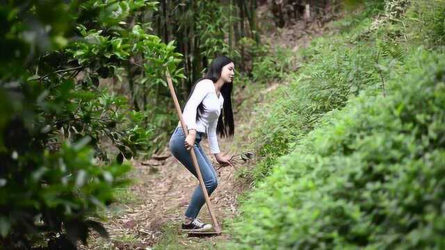 在我们四川这种野菜路边很常见哦,还可以自己种来吃!