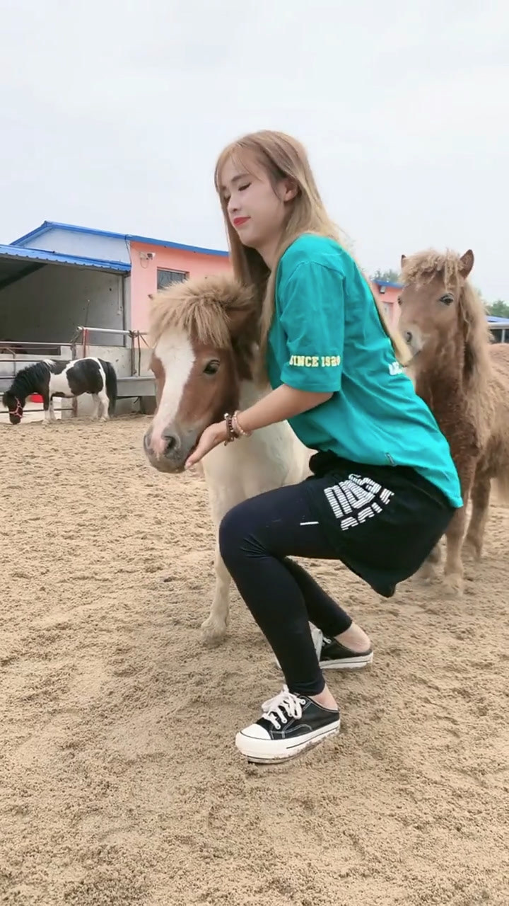 进口小矮马,可以骑哦