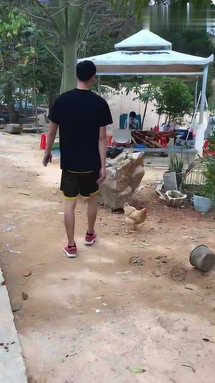 抓鸡全教程。_高清1