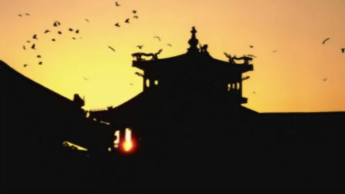 故宫晚上住满了黑乌鸦! 为啥北京乌鸦最多的地方在这里? 专家揭秘