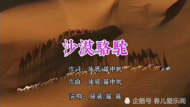 爆红网络神曲《沙漠骆驼》完整版,旋律优美动听,歌词入心