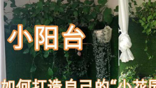 原来阳台花架还能这样装,小户型阳台改成花园,邻居踏破门槛效仿