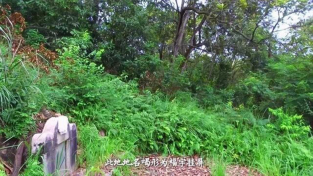 带你去看当年高州知府戴锡纶留题罗定福字挂屏