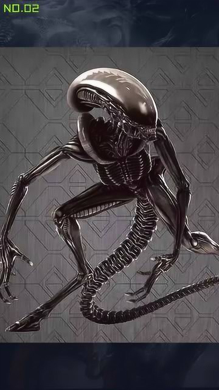 《异形》之信使异形