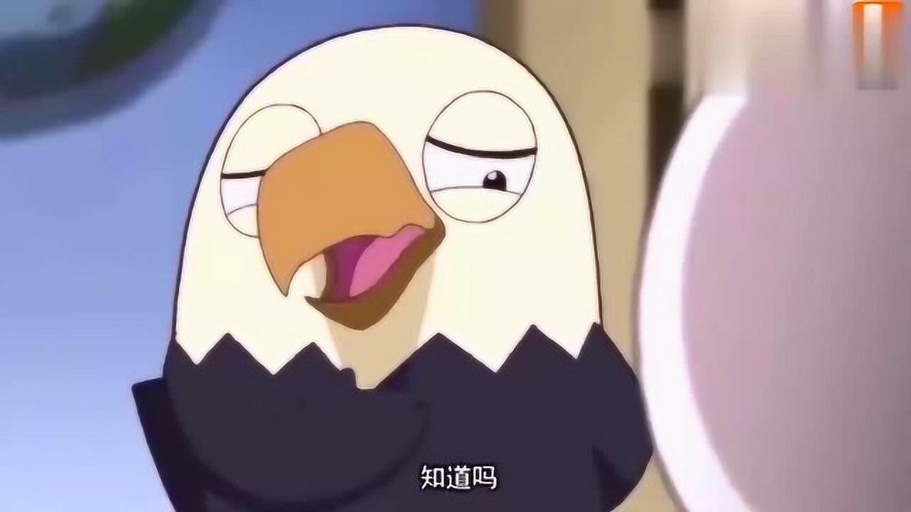 那年那兔那些事儿鹰酱找兔子谈话,让他别动不动就弃权