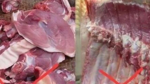 辩别病死猪肉看四点,老杀猪匠30年经验分享