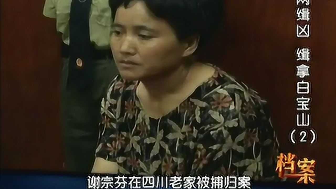 珍貴影像白寶山被槍斃後他情婦謝宗芬判了什麼刑