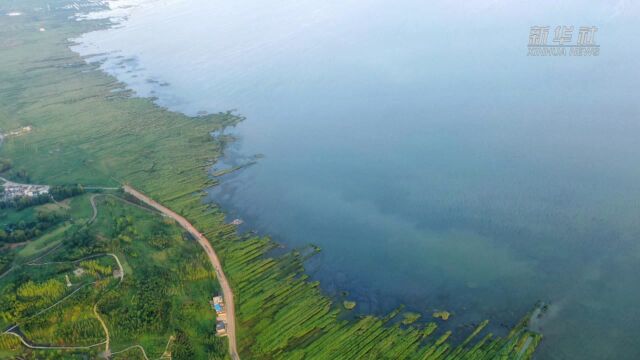 (美丽中国)草海夏日风光美