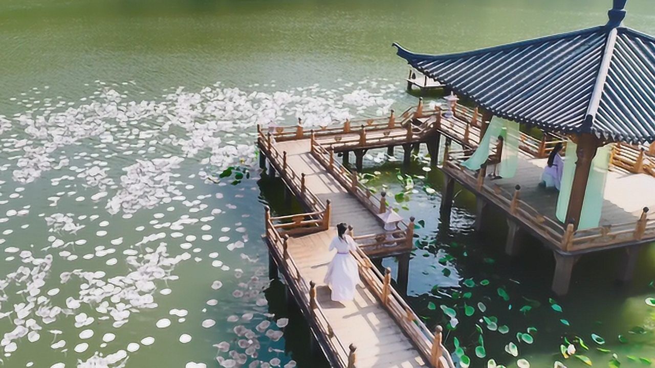 陈情令幕后花絮原来莲花坞的荷花竟是特效师种出来的