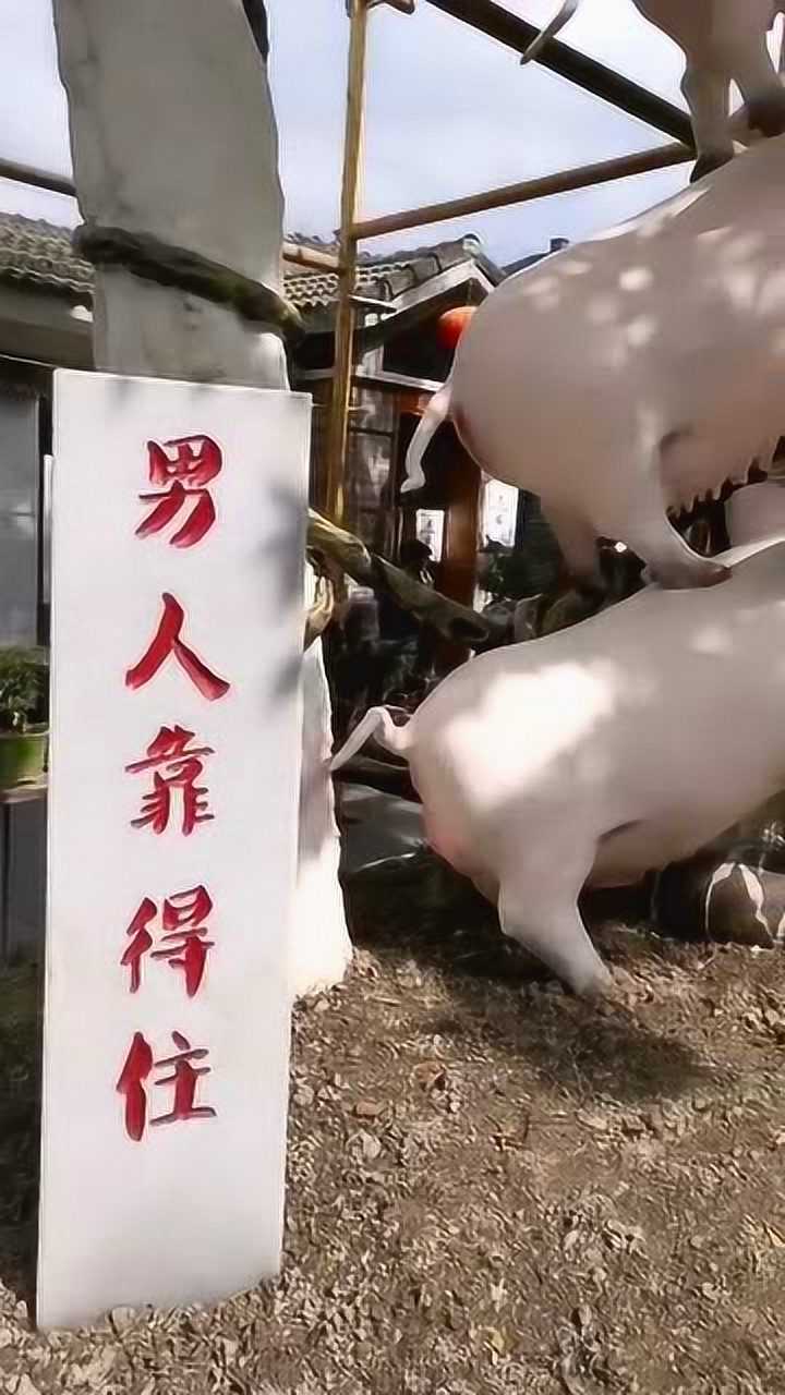 为了证明男人靠得住这村子真是下了血本了真是惟妙惟肖的